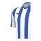 Nike Division V Striped Trikot Weiss F101 - weiss