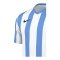 Nike Division V Striped Trikot Weiss F102 - weiss