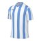 Nike Division V Striped Trikot Weiss F102 - weiss