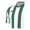 Nike Division V Striped Trikot Weiss F103 - weiss