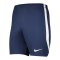 Nike Dri-FIT Knit Short Blau Weiss F410 - blau