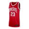 Nike Dri-Fit Ohia State College Tanktop Rot F657 - rot