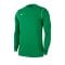 Nike Park 20 Sweatshirt Kids Grün F302 - gruen