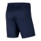Nike Park III Short Blau F410 - blau