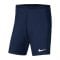 Nike Park III Short Blau F410 - blau