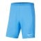 Nike Park III Short Blau F412 - blau