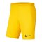 Nike Park III Short Gelb F719 - gelb