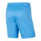 Nike Park III Short Kids Blau F412 - blau