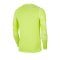 Nike Park IV TW-Trikot langarm Gelb F702 - gelb