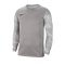 Nike Park IV TW-Trikot langarm Grau F052 - grau