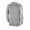 Nike Park IV TW-Trikot langarm Kids Grau F052 - grau