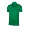 Nike Park 20 Poloshirt Kids Grün F302 - gruen