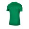 Nike Park VII Trikot kurzarm Kids Grün F302 - gruen