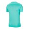 Nike Park VII Trikot kurzarm Türkis F354 - tuerkis