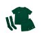 Nike Park 20 Trikot Set Kids Grün F302 - gruen