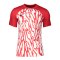 Nike Dry NE GX1 Trikot Rot Weiss F657 - rot