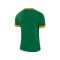 Nike Park Derby II Trikot Grün Gold F302 - gruen