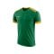 Nike Park Derby II Trikot Grün Gold F302 - gruen