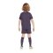 Nike FA England Minikit Away EM 2024 Lila F573 - lila