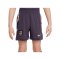 Nike FA England Minikit Away EM 2024 Lila F573 - lila
