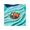 Nike FC Barcelona Authentic Trikot 3rd 2026/2027 Grün F301 - gruen