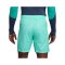Nike FC Barcelona Short UCL 2023/2024 Blau F486 - blau