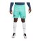 Nike FC Barcelona Short UCL 2023/2024 Blau F486 - blau