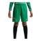 Nike FC Barcelona Torwartshort 2026/2027 Kids Grün F324 - gruen