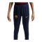 Nike FC Barcelona Trainingshose Kids Blau F498 - blau