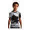 Nike FC Chelsea London Dri-Fit T-Shirt Kids Grau F098 - grau