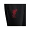 Nike FC Liverpool Strike Trainingshose Kids Schwarz F010 - schwarz