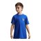 Nike FFF Frankreich Trainingsshirt Kids Blau F480 - blau