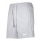 Nike Strike 24 Express Short Grau F012 - grau