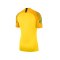 Nike Gardien II Torwarttrikot kurzarm Gelb F719 - gelb