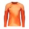 Nike Gardien IV Torwarttrikot langarm Orange F819 - orange