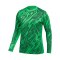 Nike Gardien V Torwarttrikot Damen Grün F329 - gruen
