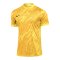 Nike Gardien V Torwarttrikot Gelb F719 - gelb