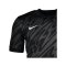 Nike Gardien V Torwarttrikot Grau F060 - grau