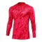 Nike Gardien V Torwarttrikot langarm Rot F644 - rot