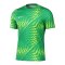 Nike Gardien VI Torwarttrikot Grün F324 - gruen