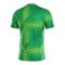 Nike Gardien VI Torwarttrikot Kids Grün F324 - gruen