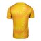 Nike Gardien VI Torwarttrikot Kids Gelb F718 - gelb