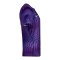 Nike Gardien VI Torwarttrikot Lila F507 - lila