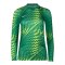 Nike Gardien VI Torwarttrikot Langarm Damen Grün F324 - gruen
