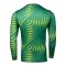 Nike Gardien VI Torwarttrikot Langarm Kids Grün F324 - gruen