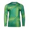 Nike Gardien VI Torwarttrikot Langarm Kids Grün F324 - gruen