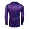 Nike Gardien VI Torwarttrikot Langarm Kids Lila F507 - lila