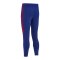 Nike HNS Kroatien Strike Trainingshose Blau F455 - blau