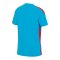 Nike HNS Kroatien Trainingsshirt Kids Blau F430 - blau