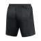 Nike III Schiedsrichtershorts Damen Schwarz F010 - schwarz